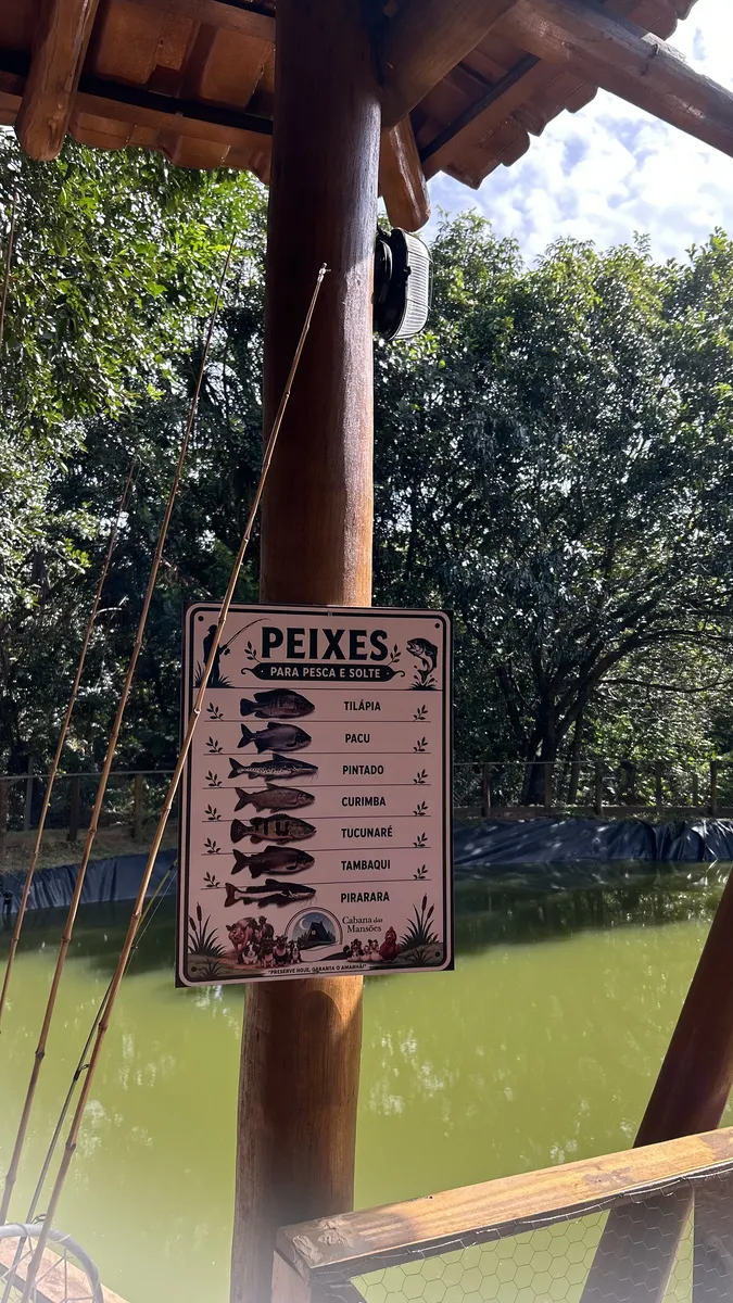 Placa com as espécies de peixes do pesque e solte
